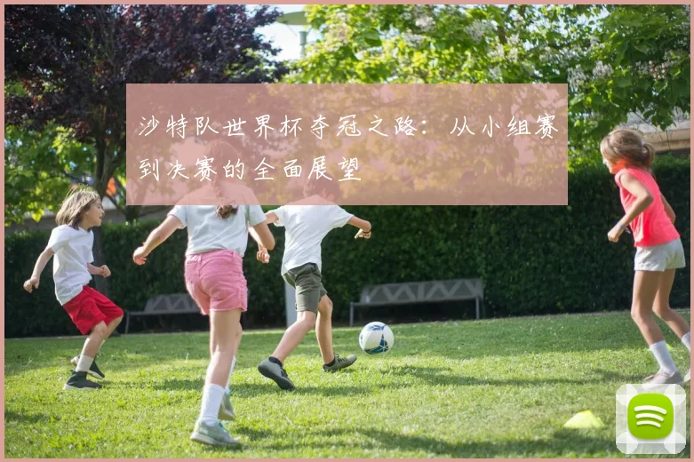 沙特队世界杯夺冠之路：从小组赛到决赛的全面展望