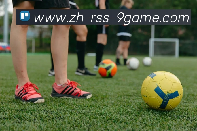 J9九游平台生态图